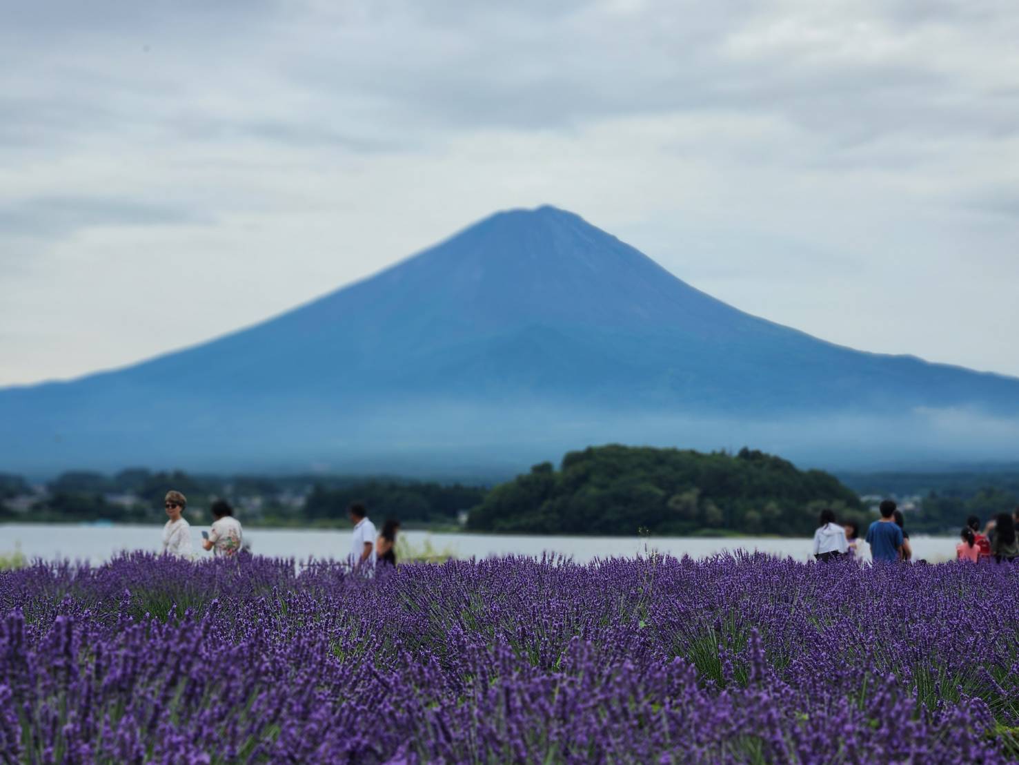 日本【富士山】｜三天