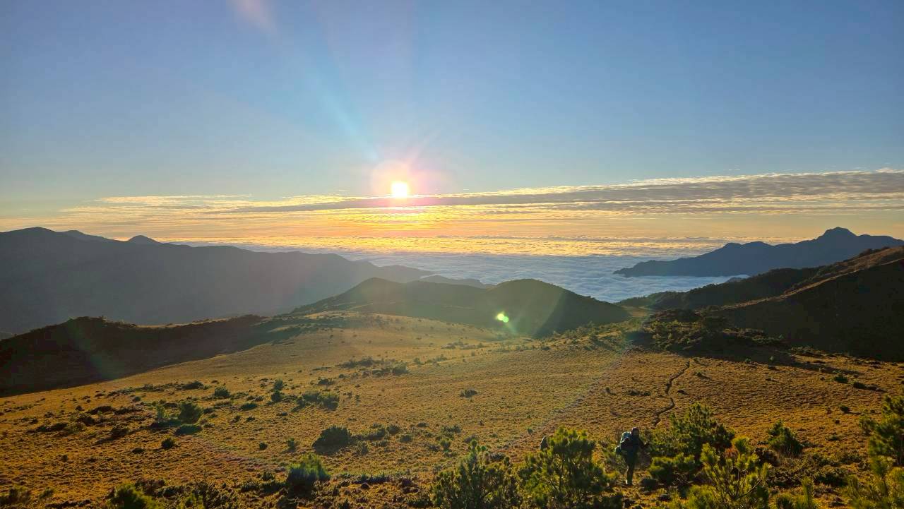 （C）三尖之一【八大秀】｜四天四夜