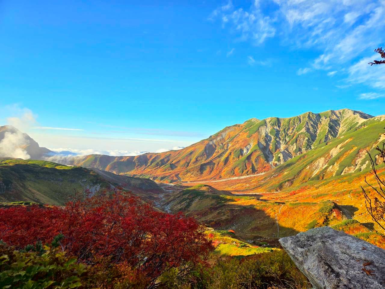（A+）日本【溫泉星空賞楓-立山】｜五天